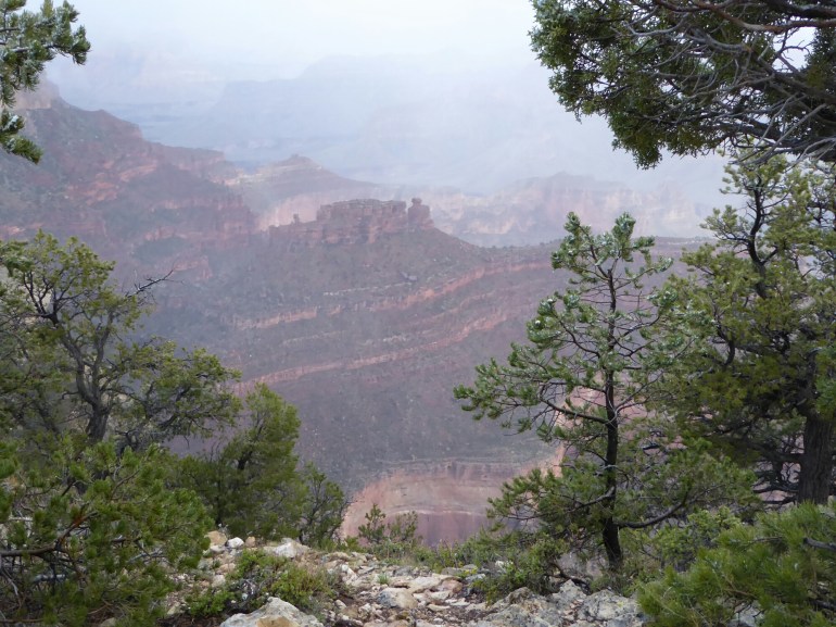 wp-1462707315852 image