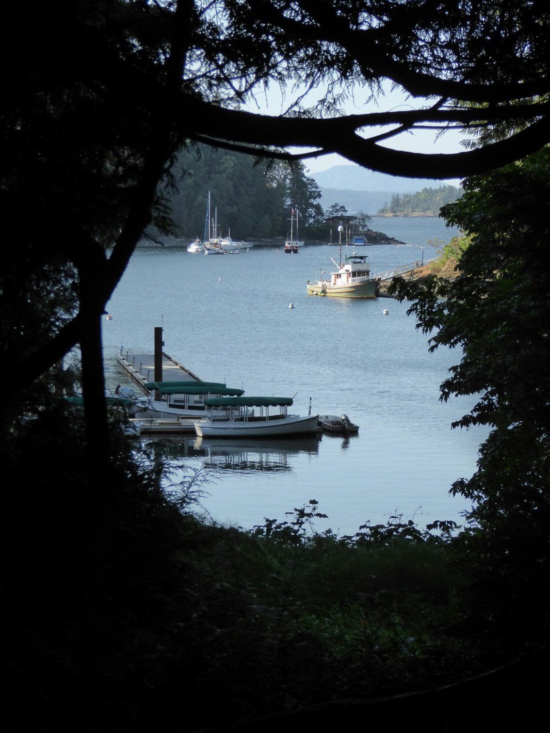 Day trip to Victoria and The Butchart&nbsp;Gardens