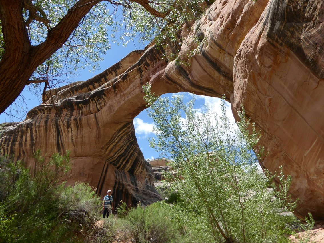Utah State Route 95 and Natural&nbsp;Arches