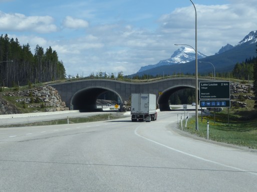 P1070245