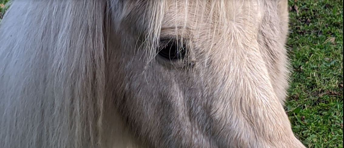 ‘Truth and Reason are part of the Authority they are&nbsp;challenging.’